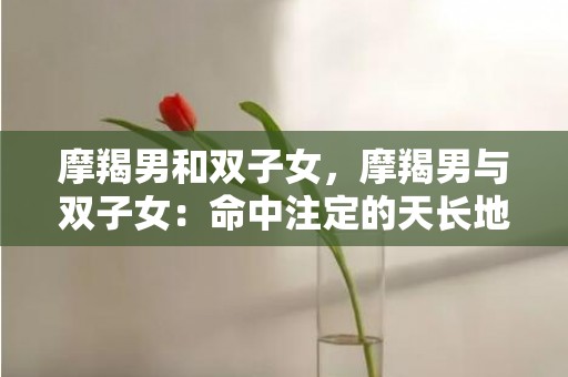 摩羯男和双子女，摩羯男与双子女：命中注定的天长地久？