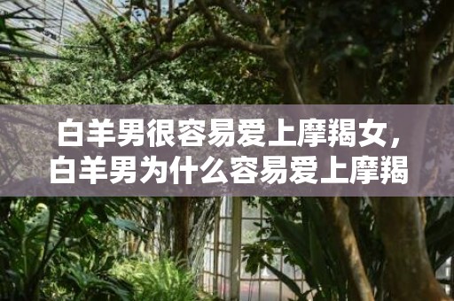 白羊男很容易爱上摩羯女，白羊男为什么容易爱上摩羯女?