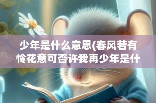 少年是什么意思(春风若有怜花意可否许我再少年是什么意思)
