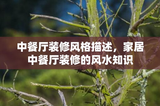 中餐厅装修风格描述，家居中餐厅装修的风水知识