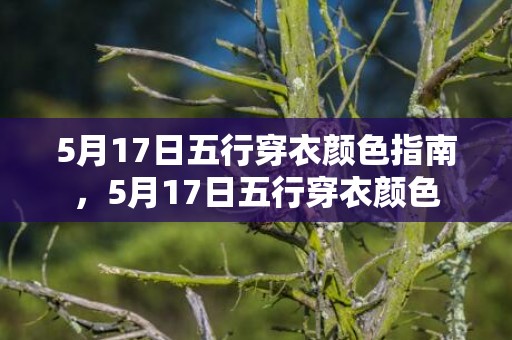 5月17日五行穿衣颜色指南，5月17日五行穿衣颜色