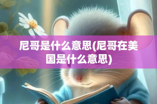 尼哥是什么意思(尼哥在美国是什么意思)