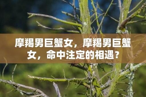摩羯男巨蟹女，摩羯男巨蟹女，命中注定的相遇？