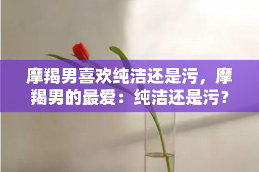 摩羯男喜欢纯洁还是污，摩羯男的最爱：纯洁还是污？