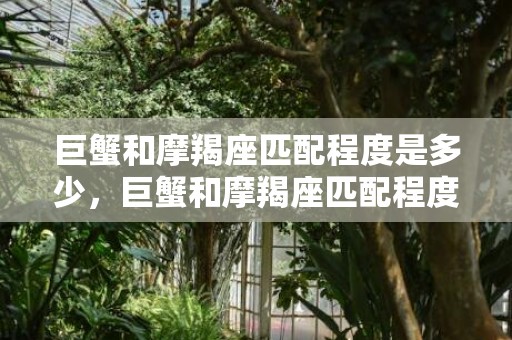 巨蟹和摩羯座匹配程度是多少，巨蟹和摩羯座匹配程度是多少？