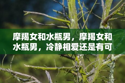 摩羯女和水瓶男，摩羯女和水瓶男，冷静相爱还是有可能的吗？