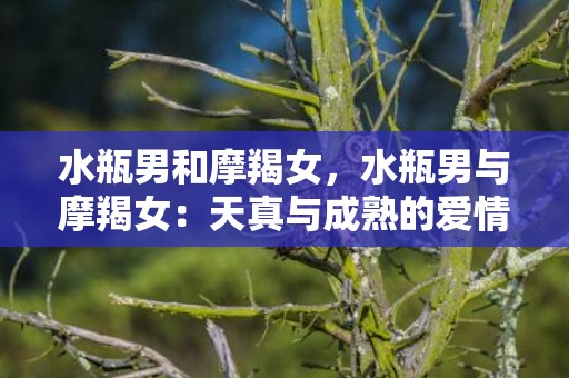 水瓶男和摩羯女，水瓶男与摩羯女：天真与成熟的爱情关系如何相融？