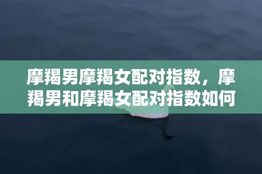 摩羯男摩羯女配对指数，摩羯男和摩羯女配对指数如何？