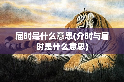 届时是什么意思(介时与届时是什么意思)