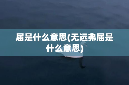 届是什么意思(无远弗届是什么意思)