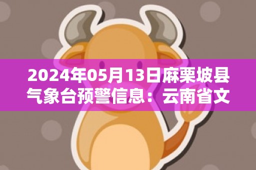 2024年05月13日麻栗坡县气象台预警信息：云南省文山壮族苗族自治州麻栗坡县发布暴雨橙色预警
