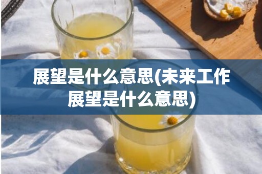展望是什么意思(未来工作展望是什么意思)