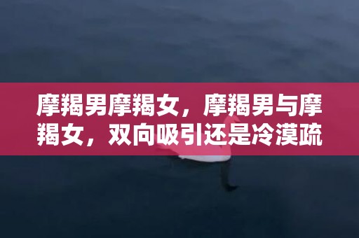 摩羯男摩羯女，摩羯男与摩羯女，双向吸引还是冷漠疏离？