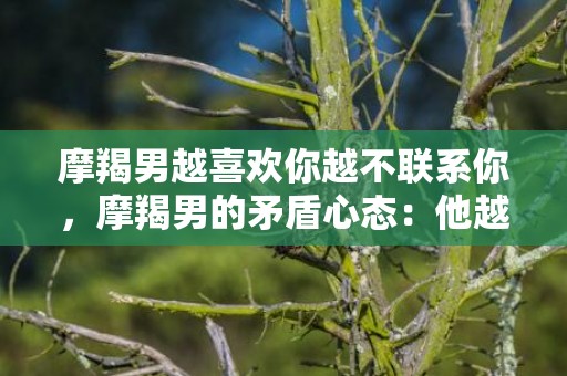 摩羯男越喜欢你越不联系你，摩羯男的矛盾心态：他越喜欢你，为何越不联系你？