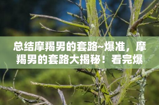 总结摩羯男的套路~爆准，摩羯男的套路大揭秘！看完爆准的总结懂一切？