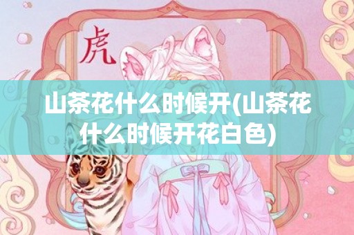 山茶花什么时候开(山茶花什么时候开花白色)