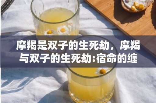 摩羯是双子的生死劫，摩羯与双子的生死劫:宿命的缠绕？