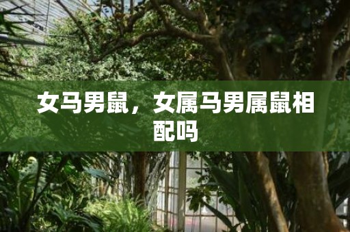 女马男鼠，女属马男属鼠相配吗