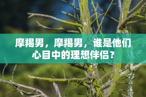 摩羯男，摩羯男，谁是他们心目中的理想伴侣？