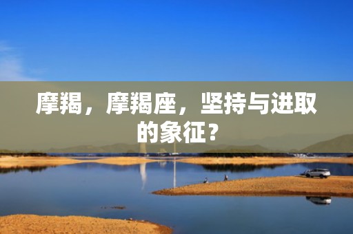 摩羯，摩羯座，坚持与进取的象征？