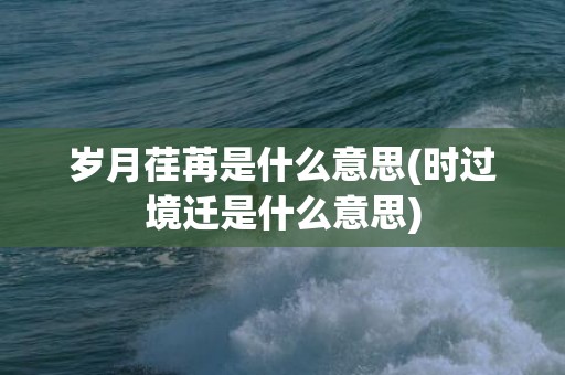 岁月荏苒是什么意思(时过境迁是什么意思)