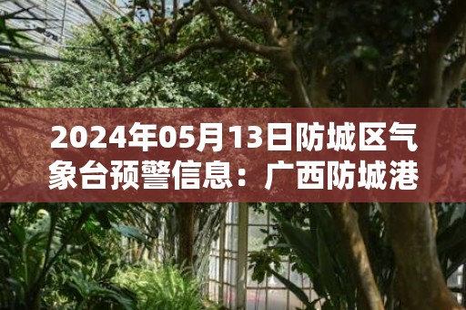 2024年05月13日防城区气象台预警信息：广西防城港市防城区发布雷电橙色预警