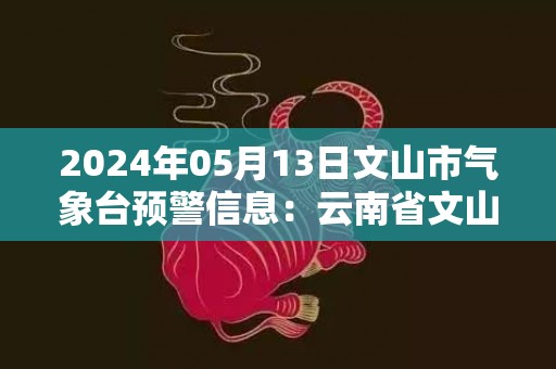 2024年05月13日文山市气象台预警信息：云南省文山壮族苗族自治州发布雷电黄色预警