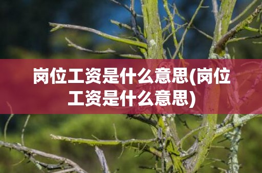 岗位工资是什么意思(岗位工资是什么意思)