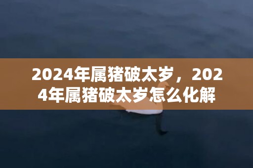 2024年属猪破太岁，2024年属猪破太岁怎么化解