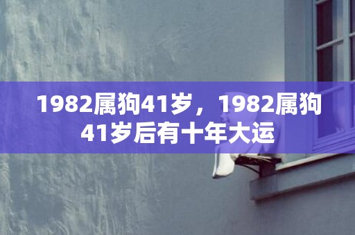 1982属狗41岁，1982属狗41岁后有十年大运