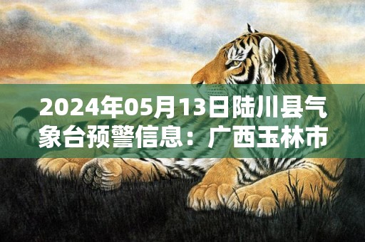 2024年05月13日陆川县气象台预警信息：广西玉林市陆川县发布暴雨橙色预警