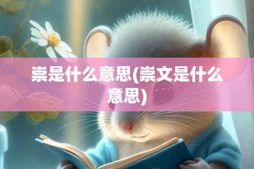 崇是什么意思(崇文是什么意思)
