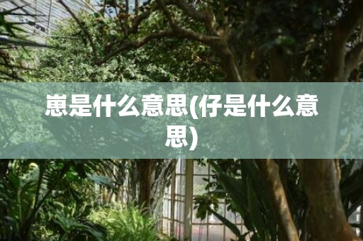 崽是什么意思(仔是什么意思)