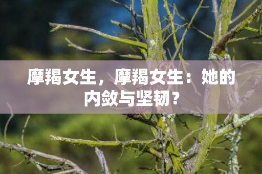 摩羯女生，摩羯女生：她的内敛与坚韧？