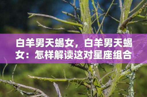 白羊男天蝎女，白羊男天蝎女：怎样解读这对星座组合的爱情？