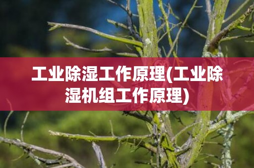 工业除湿工作原理(工业除湿机组工作原理)