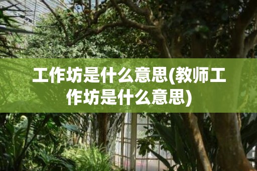 工作坊是什么意思(教师工作坊是什么意思)