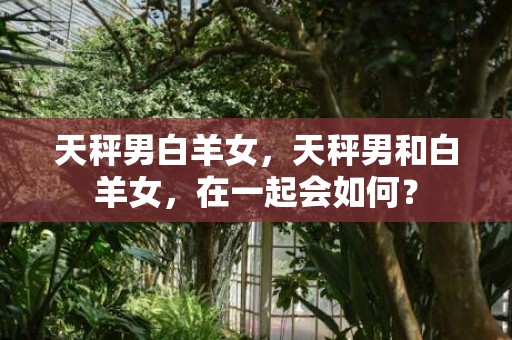 天秤男白羊女，天秤男和白羊女，在一起会如何？