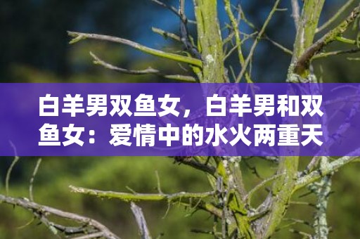 白羊男双鱼女，白羊男和双鱼女：爱情中的水火两重天？
