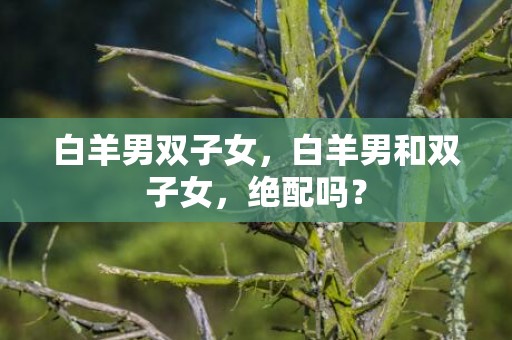 白羊男双子女，白羊男和双子女，绝配吗？
