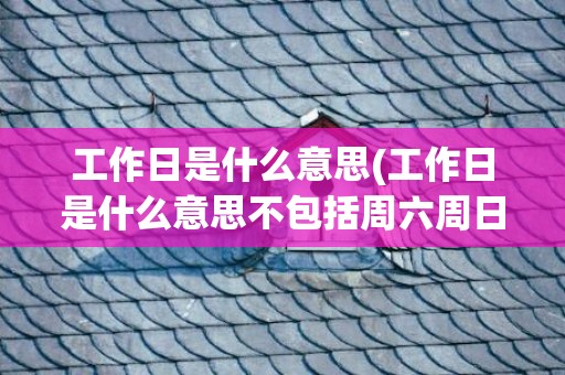 工作日是什么意思(工作日是什么意思不包括周六周日)