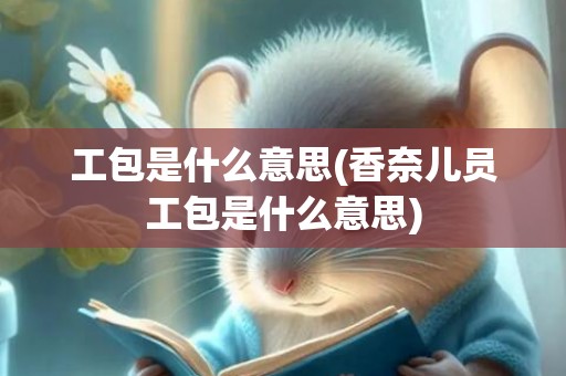 工包是什么意思(香奈儿员工包是什么意思)