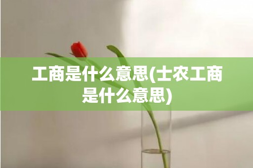 工商是什么意思(士农工商是什么意思)
