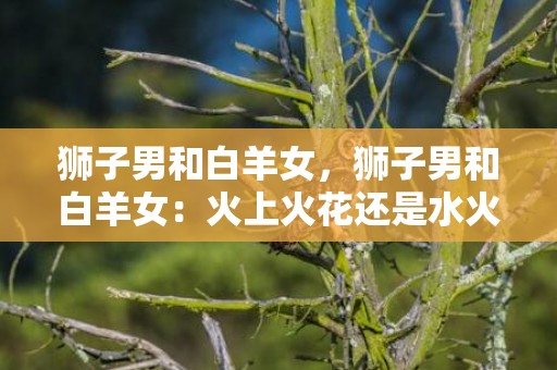 狮子男和白羊女，狮子男和白羊女：火上火花还是水火不容？