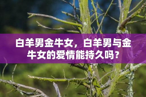 白羊男金牛女，白羊男与金牛女的爱情能持久吗？