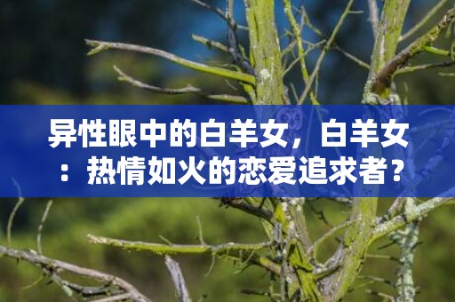 异性眼中的白羊女，白羊女：热情如火的恋爱追求者？