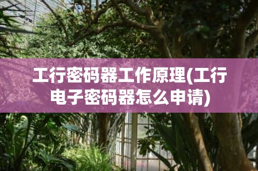 工行密码器工作原理(工行电子密码器怎么申请)