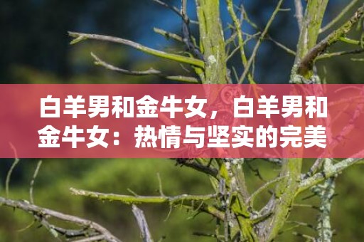白羊男和金牛女，白羊男和金牛女：热情与坚实的完美结合？