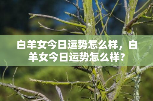 白羊女今日运势怎么样，白羊女今日运势怎么样？
