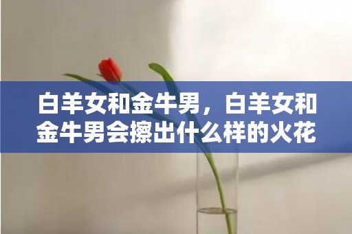 白羊女和金牛男，白羊女和金牛男会擦出什么样的火花？